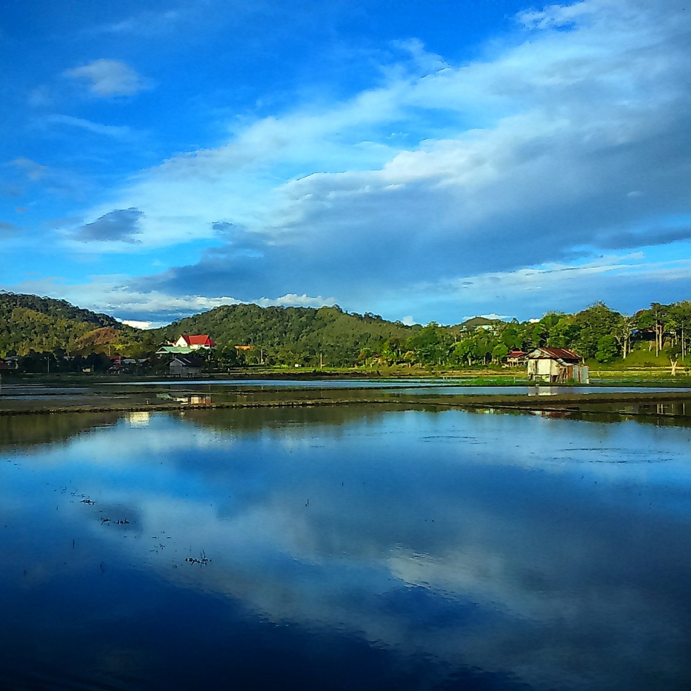 Bario Highlands – Sarawak – Dayak Wanderer, image size:1400x1400